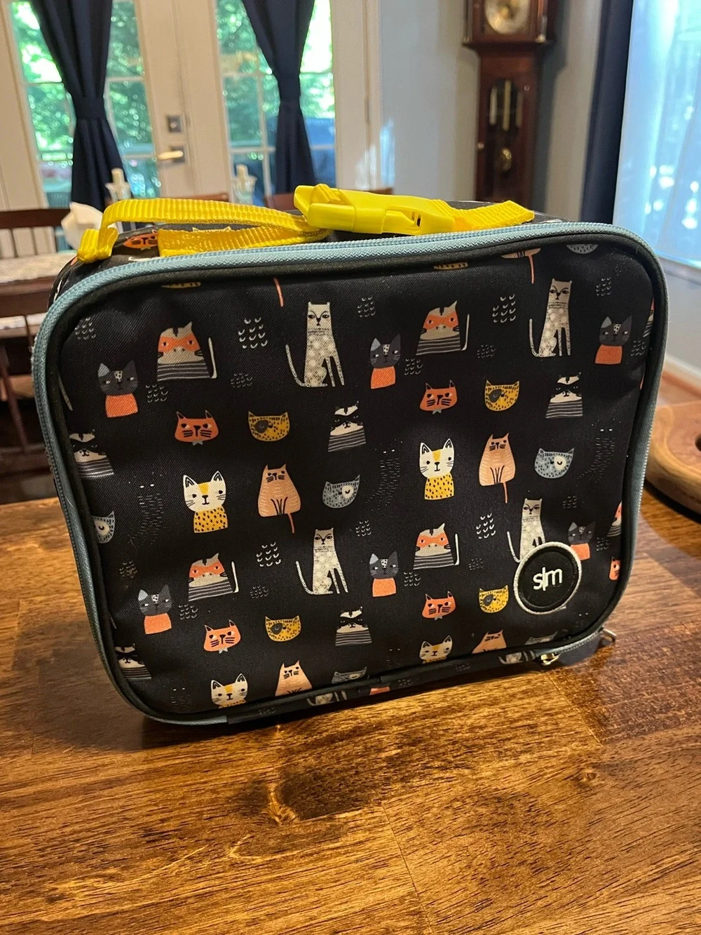 Simple Modern Kids Lunchbox Colorful Cats